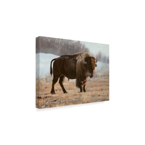 Rusty Frentner 'Bison' Canvas Art,35x47